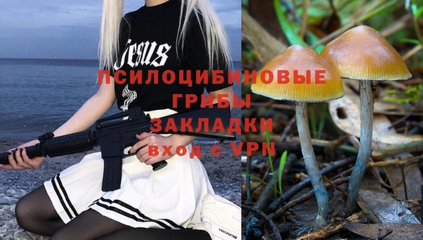 гашик Арсеньев