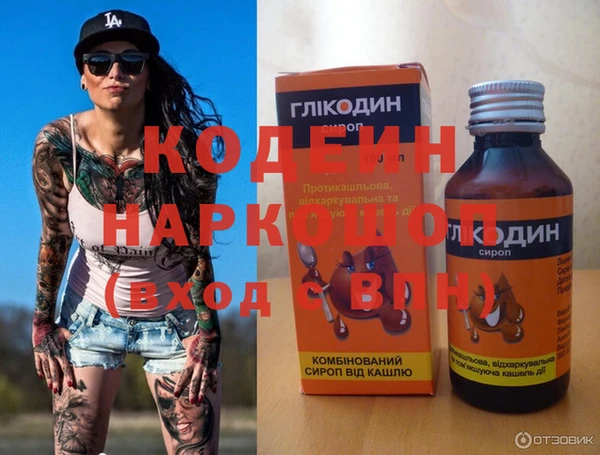 гашик Арсеньев