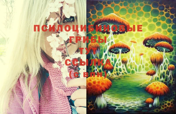 дживик Аркадак