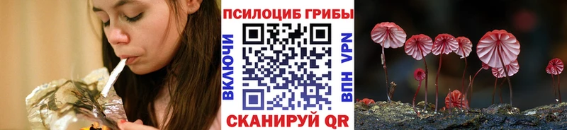 Галлюциногенные грибы Psilocybine cubensis Купить где Кувандык